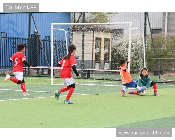 以球在脚下为中心探索足球运动的技战术与球员心理成长之道 以球在脚下为中心探索足球运动的技战术与球员心理成长之道